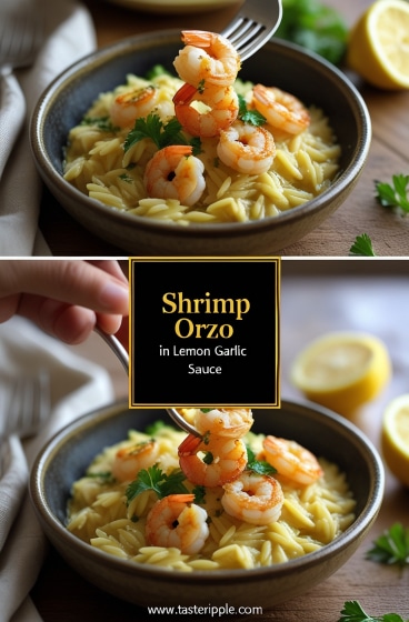 Shrimp Orzo in Lemon Garlic Sauce
